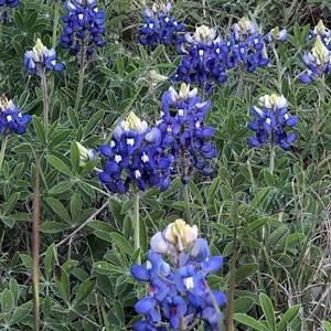 Meet your Posher, Terry